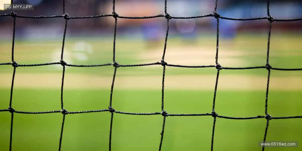 零时差直击赛场，互动不停歇！